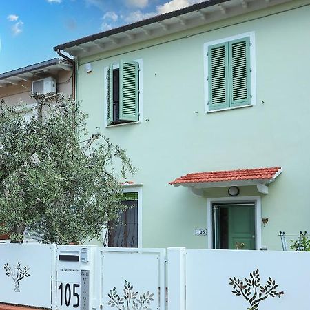 סן מיניאטו B&B Ulivo Gaio מראה חיצוני תמונה